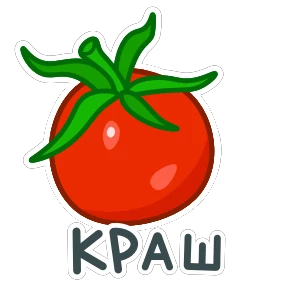 Стикер