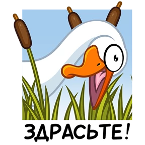 Гусь! — стикер для MAX