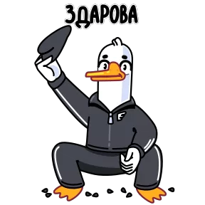 Стикер