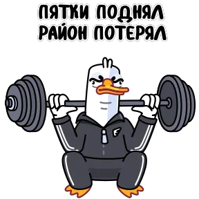 Стикер