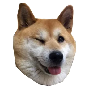 Стикер