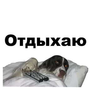 Стикер из сообщения канала