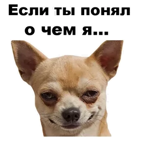 Стикер из сообщения канала