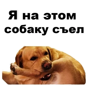 Стикер