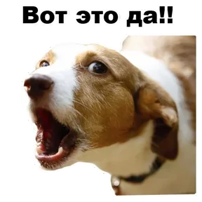 Стикер