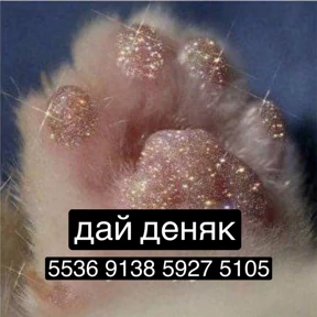 братский драккар — стикер для MAX