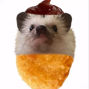 Стикер