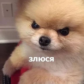 Стикер из сообщения канала