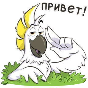 Попугай — стикер для MAX