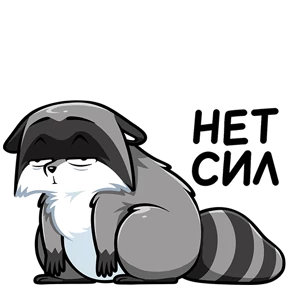 Енот — стикер для MAX