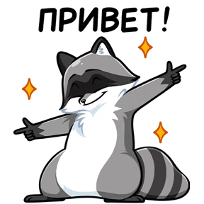 Енот — стикер для MAX