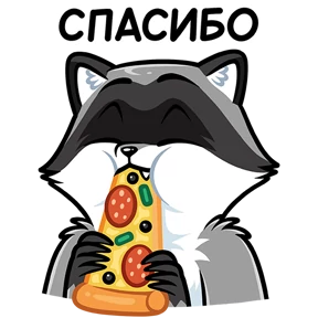 Енот — стикер для MAX