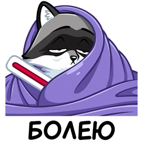 Енот — стикер для MAX