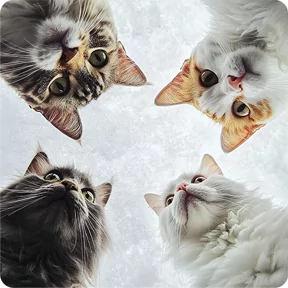 Стикер из сообщения канала