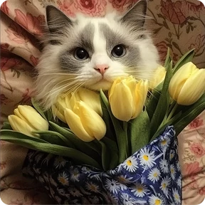 Котаны — стикер для MAX