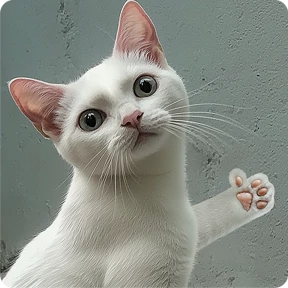 Котаны — стикер для MAX