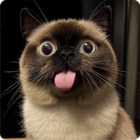 Котаны — стикер для MAX