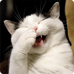 Котаны — стикер для MAX