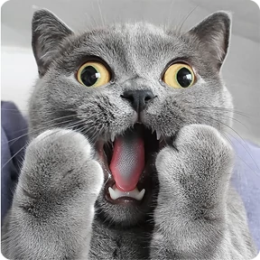 Котаны — стикер для MAX