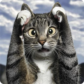 Котаны — стикер для MAX