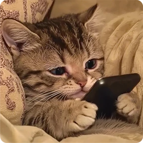 Котаны — стикер для MAX