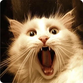Котаны — стикер для MAX
