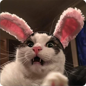 Котаны — стикер для MAX
