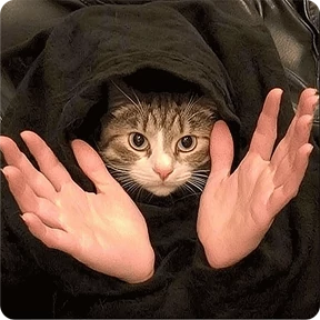 Котаны — стикер для MAX
