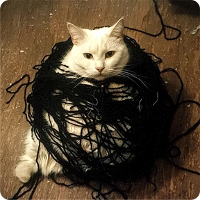 Котаны — стикер для MAX