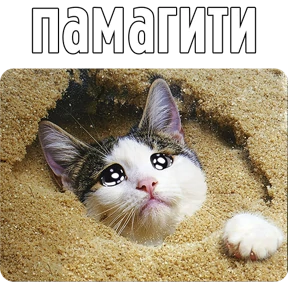 Котаны — стикер для MAX