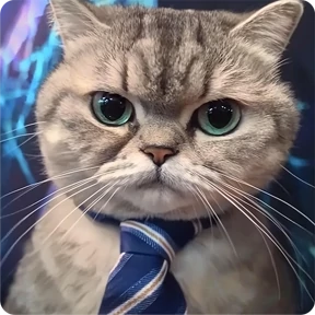 Котаны — стикер для MAX
