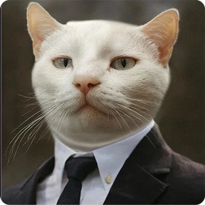 Котаны — стикер для MAX
