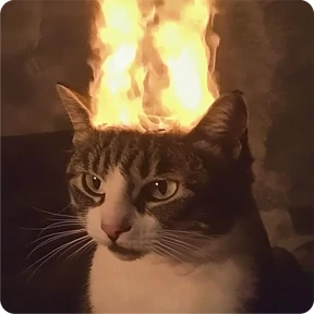 Котаны — стикер для MAX