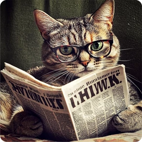Котаны — стикер для MAX