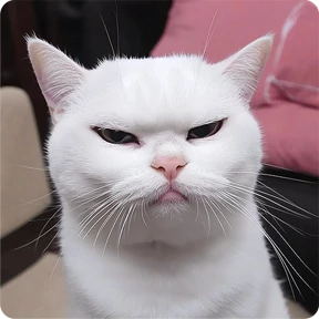 Котаны — стикер для MAX