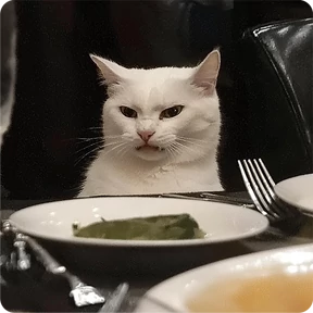 Котаны — стикер для MAX