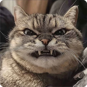 Котаны — стикер для MAX