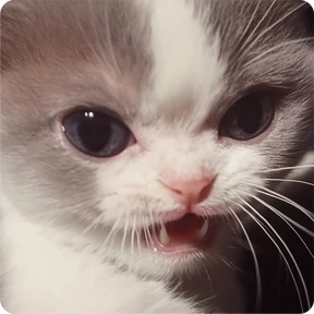 Котаны — стикер для MAX