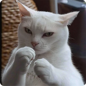 Котаны — стикер для MAX