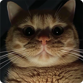 Котаны — стикер для MAX