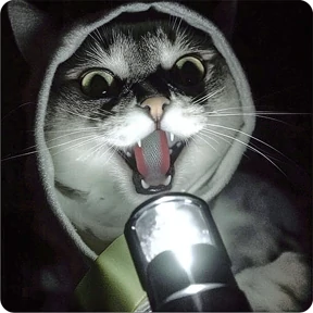 Котаны — стикер для MAX