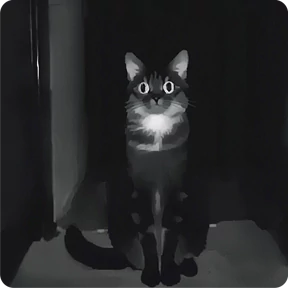 Котаны — стикер для MAX