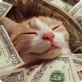 Котаны — стикер для MAX