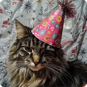 Котаны-2 — стикер для MAX