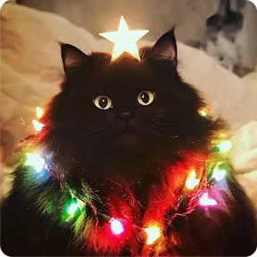 Котаны-2 — стикер для MAX
