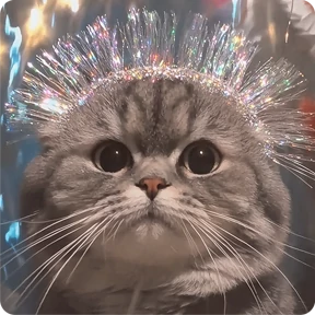 Котаны-2 — стикер для MAX