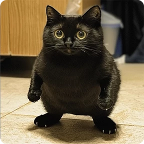Котаны-2 — стикер для MAX
