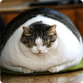 Котаны-2 — стикер для MAX