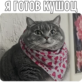 Котаны-2 — стикер для MAX