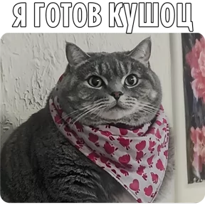 Стикер из сообщения канала